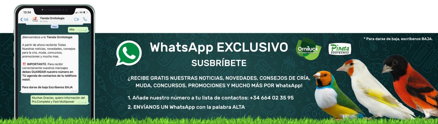 banner-whatsapp@2x-1536x437
