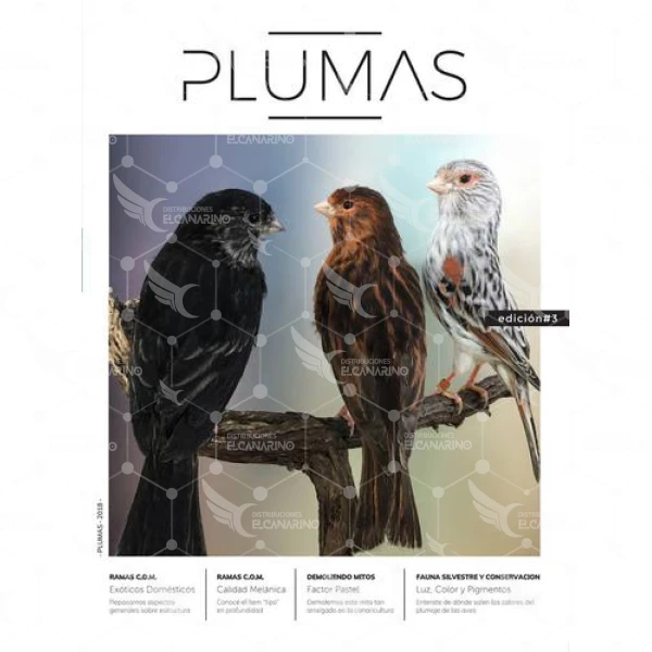 PLUMAS