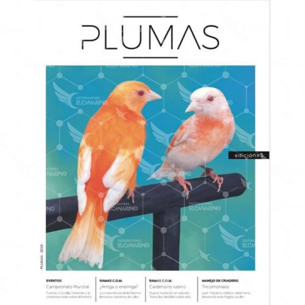 PLUMAS