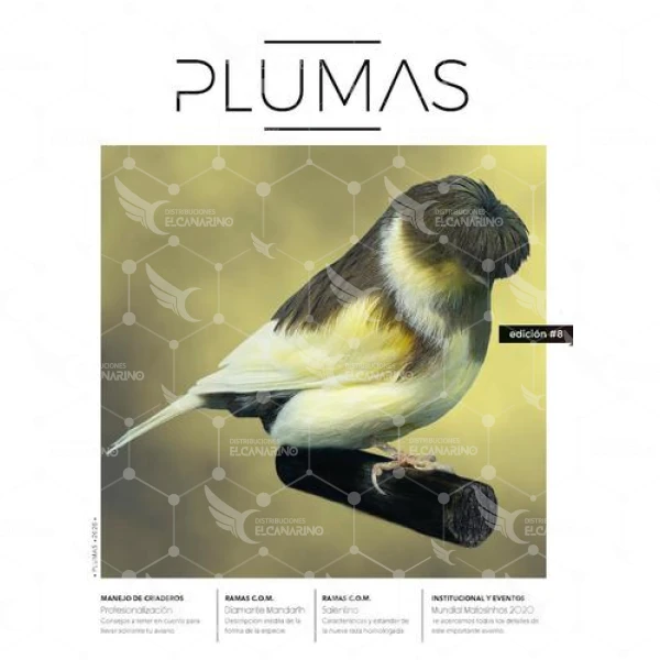 PLUMAS