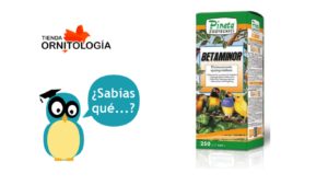 Betaminor es un producto especializado formulado para ayudar a la limpieza del hígado de carotenos