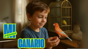 mi primer canario