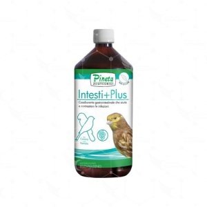 Intesti+Plus 1000ml Equilibrio intestinal Pineta