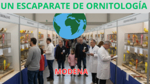 Feria Ornitológica de Módena