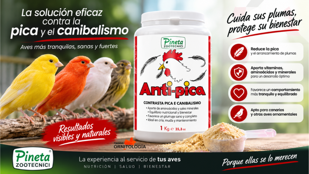 lo mejor para el picaje